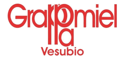 Logo de Vesubio